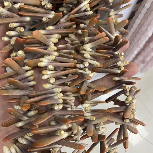 Ablorios de Nácar Natural, Nácar Trompeta, Bricolaje, más colores para la opción, 6x25mm, Vendido para aproximado 38 cm Sarta