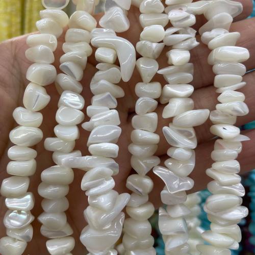 Natural Freshwater Shell Beads, Tooth, DIY, more colors for choice, beads size 8-10mm, Sold Per Approx 38 cm Strand