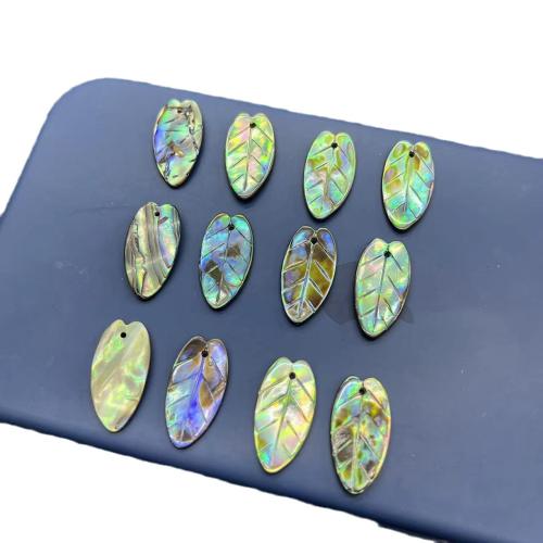 Natürliche Seeohr Muschel Anhänger, Blatt, DIY, 10x20mm, verkauft von PC