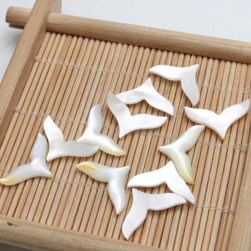 Pendentifs de coquillages blancs naturels, coquille blanche, poli, DIY & aucun trou, 16.10x10mm, Vendu par PC