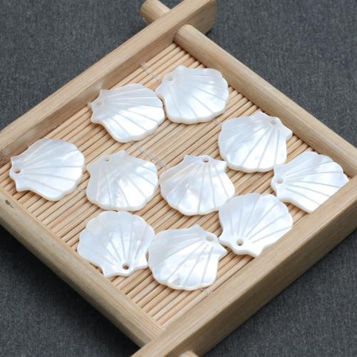 Natural White Shell Pendants, DIY, 16.90x16.70mm, Sold By PC