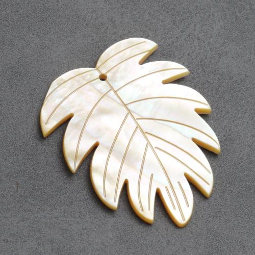 Shell Pendants, Carved, DIY, 35.40x44.10mm, Sold By PC