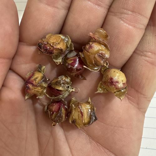 Fleurs séchées Pendentif, goutté d'époxy, DIY, pendant size 15*10mm-16*12mm, Vendu par PC