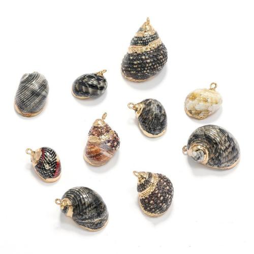 Muschel Anhänger, mit Messing, Strandschnecke, goldfarben plattiert, DIY, schwarz, pendant size 12mmx24mm-16mmx31mm, verkauft von PC
