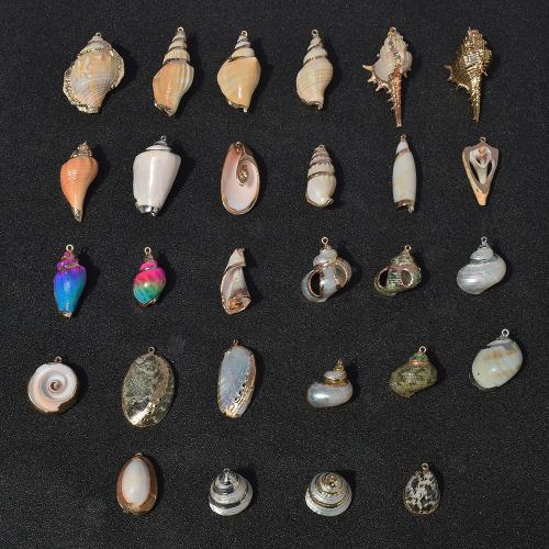 Trompeta natural Shell colgantes, Nácar Trompeta, Concha, chapado, Bricolaje & diferentes estilos para la opción, Vendido por UD
