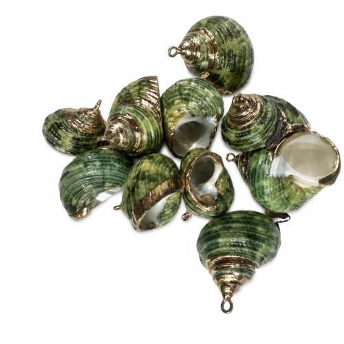 Muschel Anhänger, mit Zinklegierung, Strandschnecke, DIY, pendant size 22-32*20-26mm, verkauft von PC