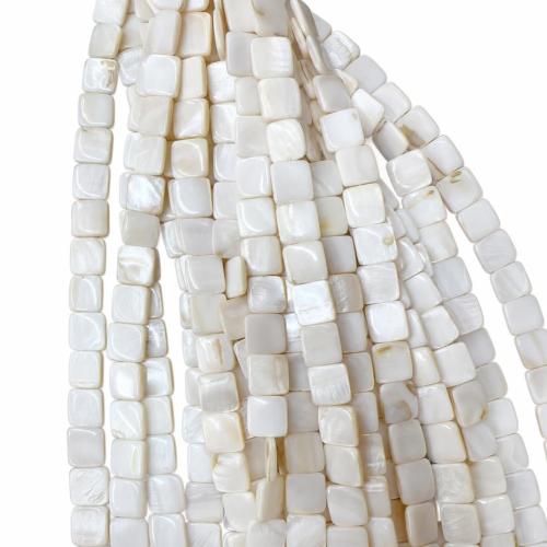 Natural White Shell Beads, Square, DIY, 15mm, Sold Per Approx 38 cm Strand