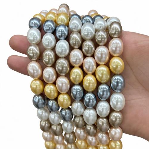 South Sea Shell Beads, Shell Pearl, plated, DIY, multi-colored, 13x18mm, Sold Per Approx 38 cm Strand