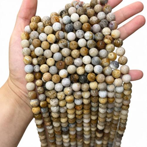 Gemstone Jewelry Beads, Chrysanthemum Stone, Round, polished, DIY, more colors for choice, Sold By Strand