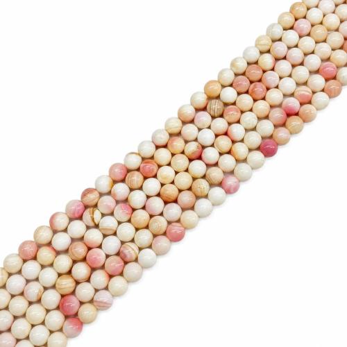 Queen Conch Shell Beads, Round, polished, DIY & different size for choice, Sold By Strand