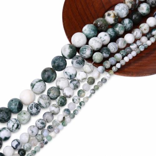 Tree Agate Beads, Round, DIY & different size for choice, Sold Per Approx 38 cm Strand