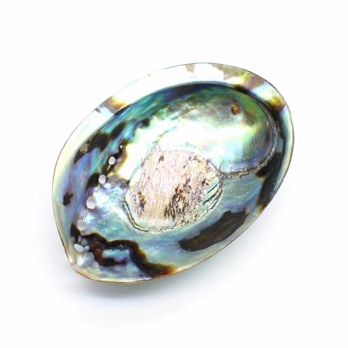 Mode Dekoration, Seeohr Muschel, poliert, DIY, keine, shell size 12-13.5*9-10cm, verkauft von PC