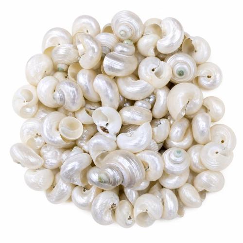 Ablorios de Nácar Natural, Irregular, Bricolaje, beads size 30-60mm, Vendido por UD