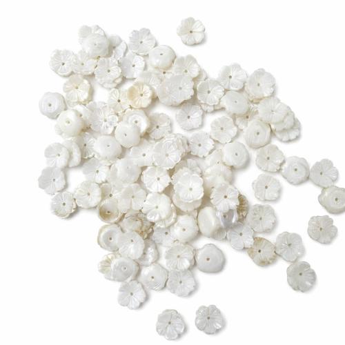 Natural White Shell Beads, Flower, DIY, 10x3mm, Hole:Approx 1mm, Sold By PC