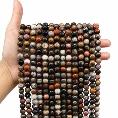 Gemstone Jewelry Beads, Petrified Wood Palm Stone, Round, DIY & different size for choice, Sold By Strand