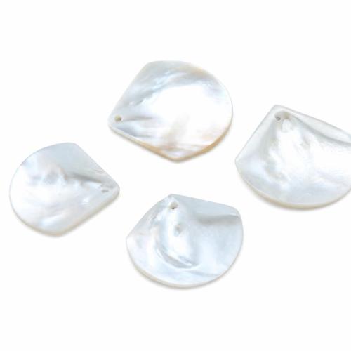 Natural White Shell Pendants, Fan, DIY & different size for choice, Sold By PC