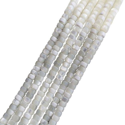 Abalorios de Nácar Natural de Agua Dulce, Arriba carcasa, Bricolaje & diverso tamaño para la opción, Vendido para aproximado 38 cm Sarta
