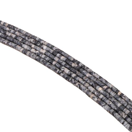 Map Stone Beads, Flat Round, polished, DIY, 2x4mm, Sold Per Approx 38 cm Strand