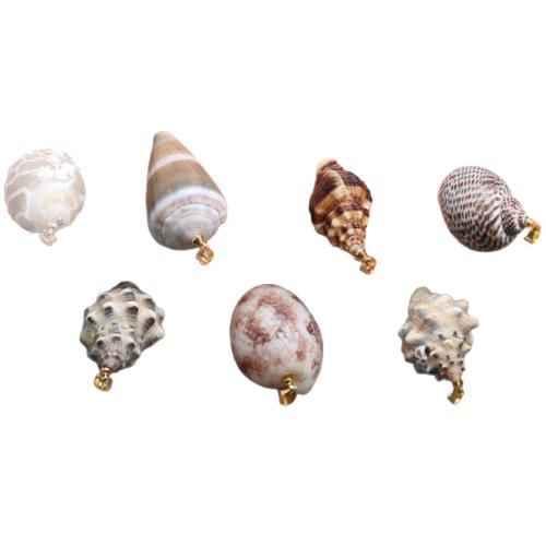 Natural Trumpet Shell Pendants, DIY & different styles for choice, Sold By PC