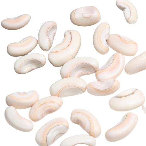 Natural Trumpet Shell Pendants, DIY, white, size 7-18mm, Approx 300PCs/Lot, 500G/Lot, Sold By Lot