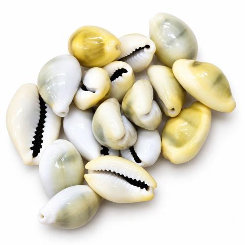 Natural Freshwater Shell Beads, DIY, size 20-30mm, Sold By KG
