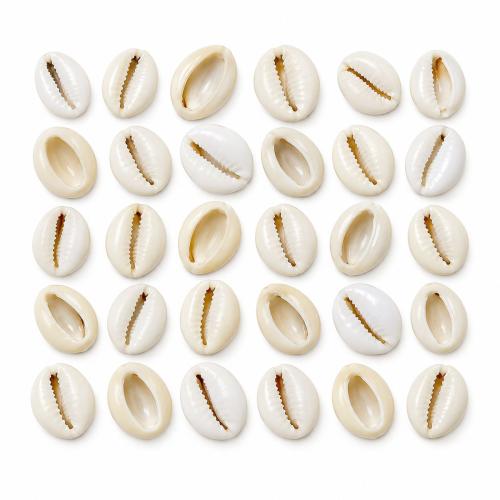 Natural Freshwater Shell Beads, DIY & different size for choice, Sold By KG