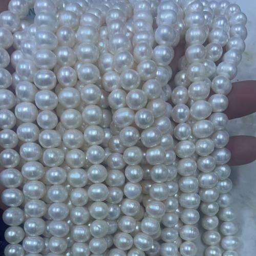 Naturel d'eau douce perles, perle d'eau douce cultivée, DIY, beads size 10-11mm, Trou:Environ 3mm, Vendu par Environ 38 cm brin