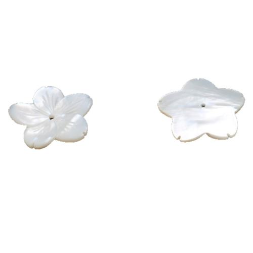 Natürliche weiße Muschelperlen, Amerikanische Muschel, Blütenblätter, DIY, weiß, 25.60mm, verkauft von PC