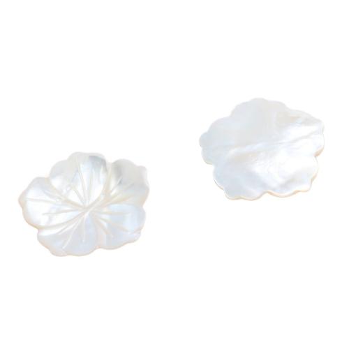 Cabochon en coquillage, coquille blanche, Pétales, DIY, blanc, 30mm, Vendu par PC
