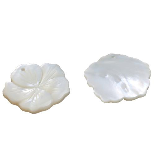 Natural White Shell Pendants, petals, DIY, white, 25mm, Sold By PC