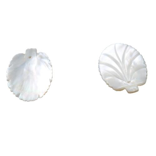 Natural White Shell Pendants, Leaf, DIY, white, 35.80mm, Sold By PC
