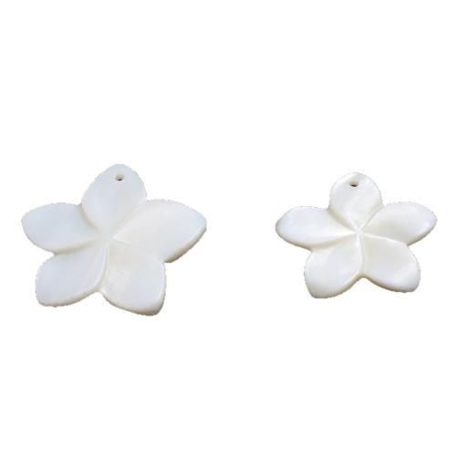 Pendentifs de coquillages blancs naturels, coquille blanche, poli, DIY & normes différentes pour le choix, plus de couleurs à choisir, Vendu par PC