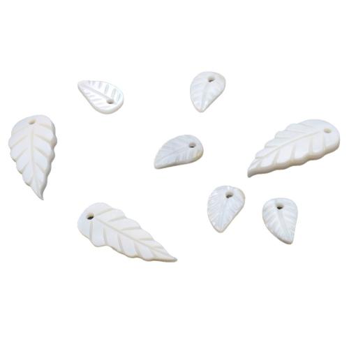 Pendentifs de coquillages blancs naturels, coquille blanche, gravé, DIY & styles différents pour le choix, plus de couleurs à choisir, Vendu par PC
