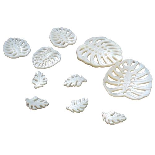 Pendentifs de coquillages blancs naturels, coquille blanche, gravé, DIY & styles différents pour le choix, plus de couleurs à choisir, Vendu par PC