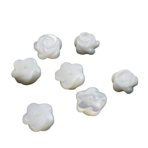 Perles en coquillage blanc naturel, coquille blanche, gravé, DIY & normes différentes pour le choix, plus de couleurs à choisir, Vendu par PC
