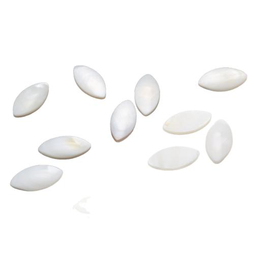 Cabochon en coquillage, coquille blanche, poli, DIY, blanc, 17x8.60x3mm, Vendu par PC