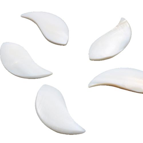 Cabochon en coquillage, coquille blanche, poli, DIY, blanc, 46.50x22.60x4mm, Vendu par PC