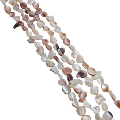 Natural Freshwater Shell Beads, Brown Lip Shell, irregular, polished, DIY, beads size 10-14mm, Sold Per Approx 38 cm Strand